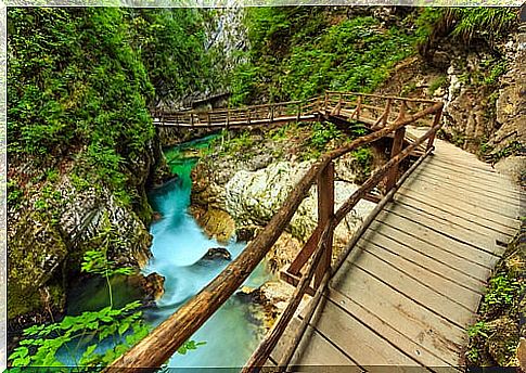 Vintgar Gorge in Slovenia