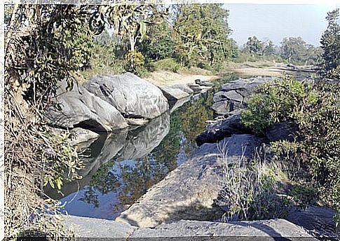 Kanha National Park in India