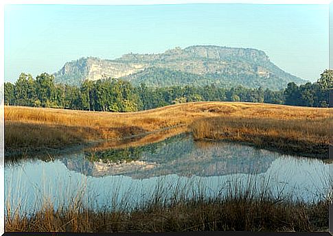 Bandhavgarh National Park in India