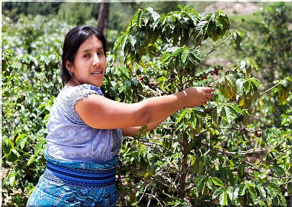 Indigenous woman from Costa Rica.