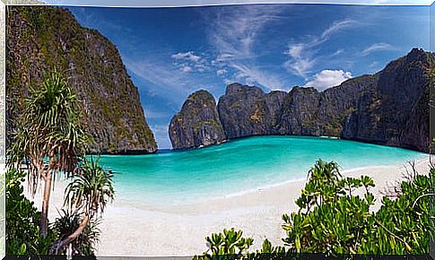 Phi Phi Island in Thailand