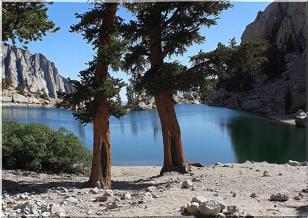 View of Lone Pine Lake