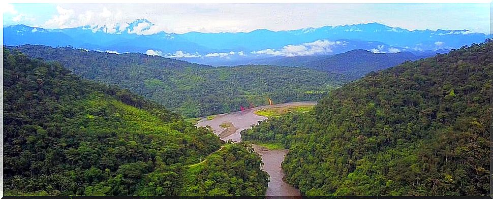 View of the Manu National Park