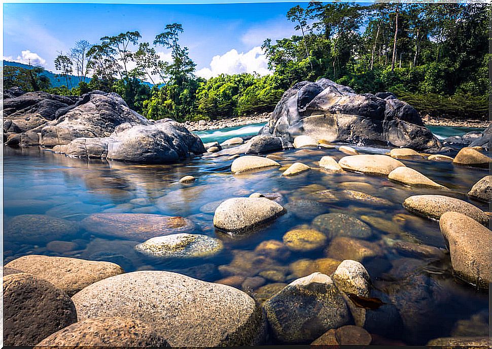 River in the Manu reserve