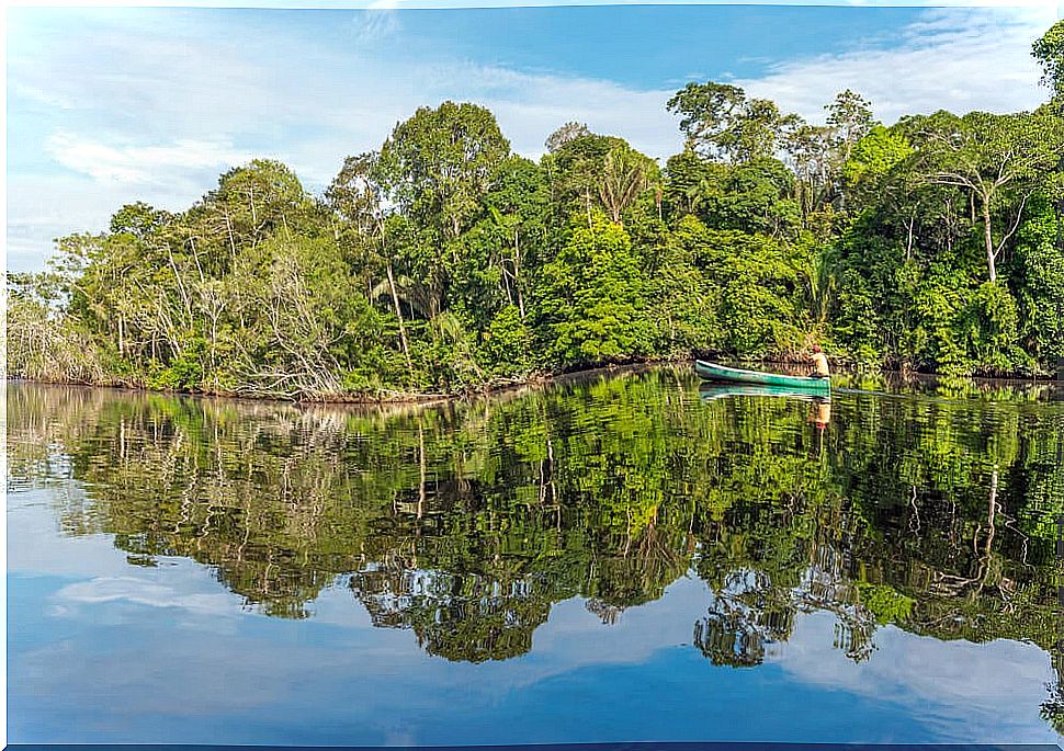 Everything you need to know about the Bolivian Amazon