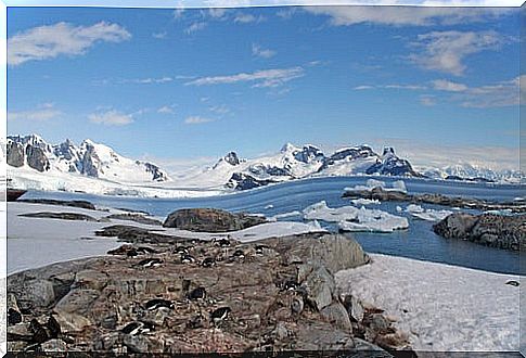 Petermann Glacier in Greenland 