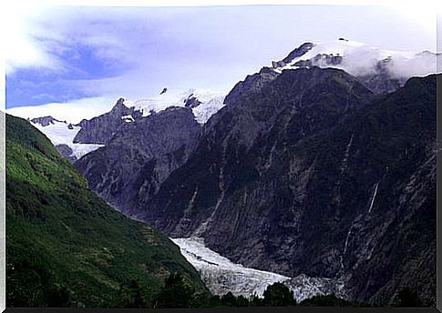 Fox Glacier in New Zealand