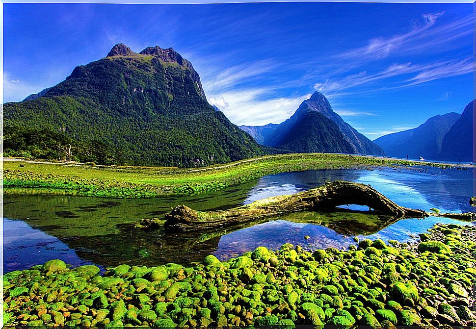 Milford Sound: An Ideal Excursion From Queenstown