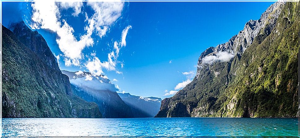 View of Milford Sound from a boat