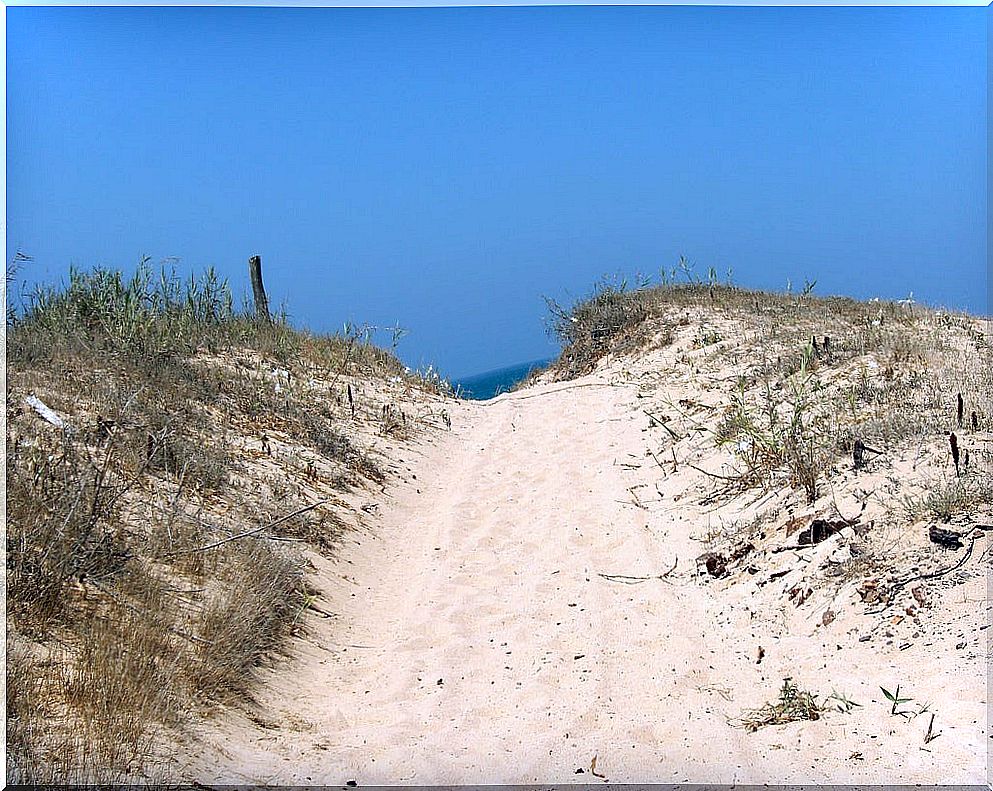 Mangueta beach in Cádiz