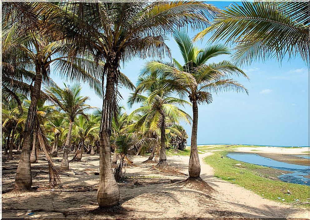 Beach in Pondicherry