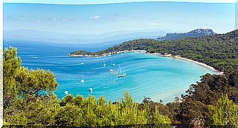 Porquerolles, a beautiful island in the waters of Provence