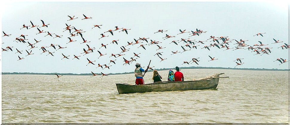 Boat in the sanctuary