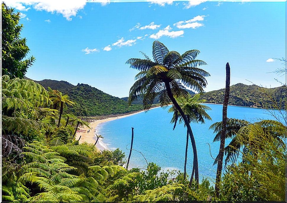 Discover the Abel Tasman Nature Park in New Zealand