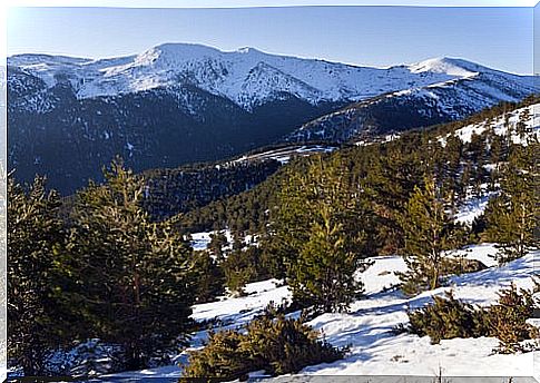 Sierra de Guadarrama