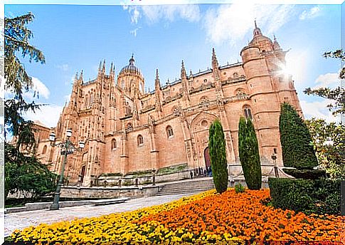 Salamanca Cathedral