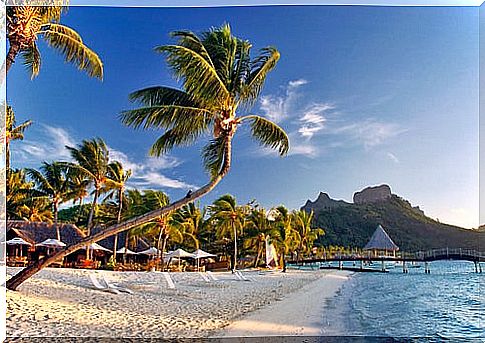 Exotic vacation in Bora Bora, French Polynesia