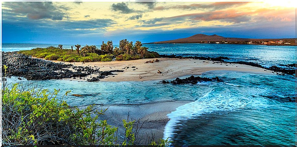 View of the Galapagos Islands