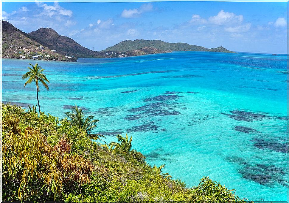 Providencia Island in El Cribe