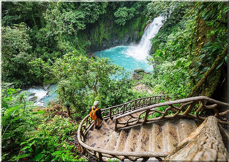 Rainforest in Costa Rica