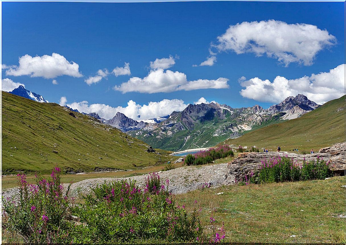 The 4 best national parks in France