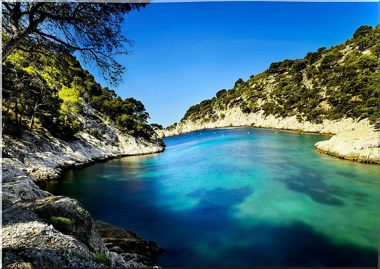 The landscapes of the Calanques National Park are truly fascinating.