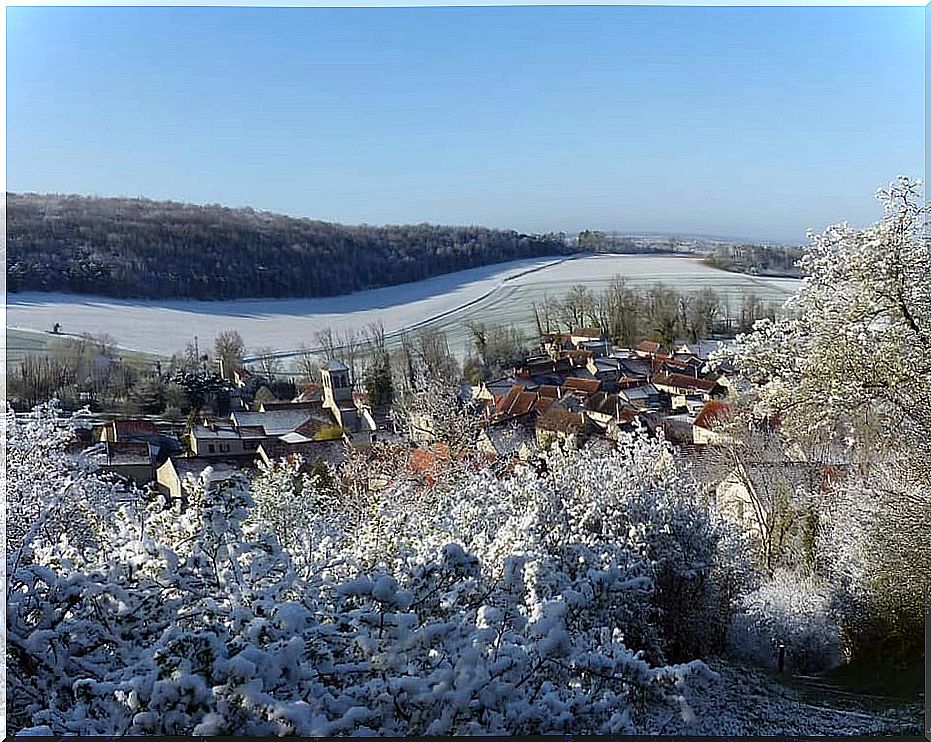 The Parc national de Forêts is one of the newest national parks in France.