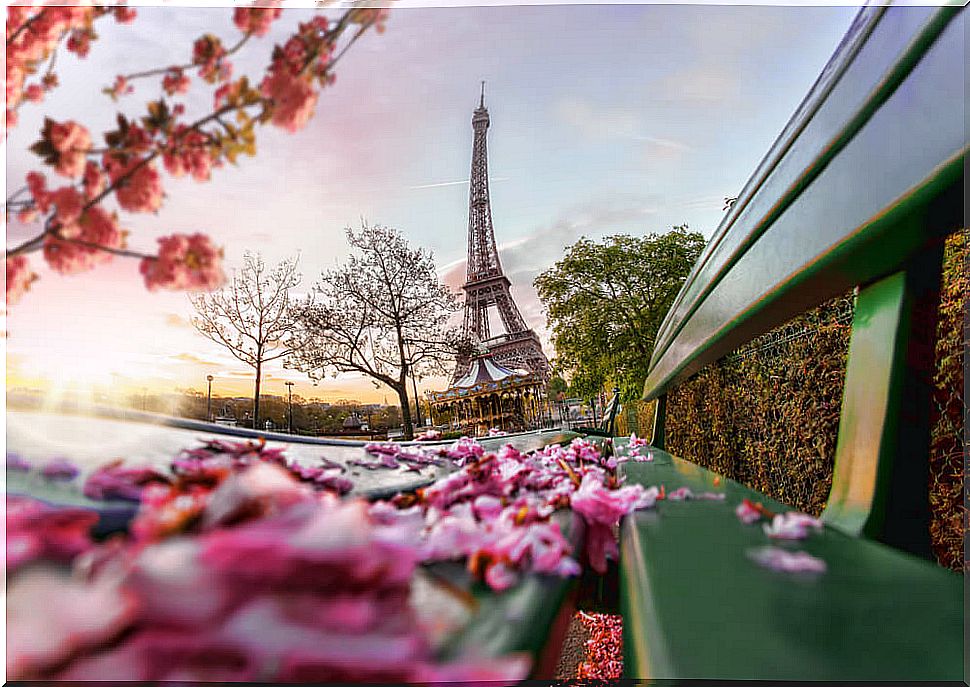 Eiffel Tower in Paris