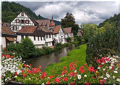 The Black Forest in Germany