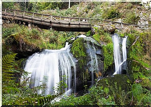 Triberg waterfalls.