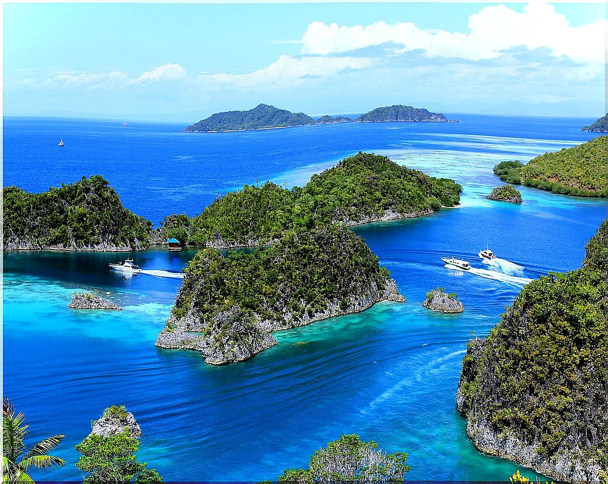 Raja Ampat, one of the places to see in Indonesia