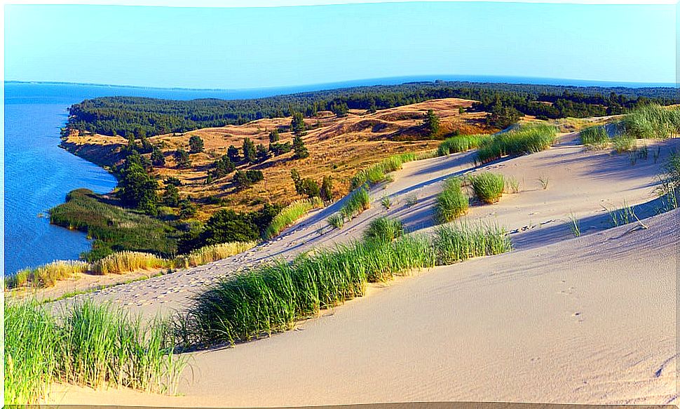 The Curonian Spit: Parnidis dune and other treasures