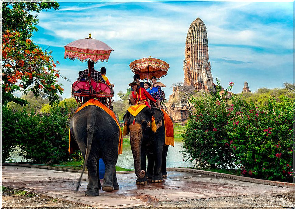 The elephant, the national symbol of Thailand