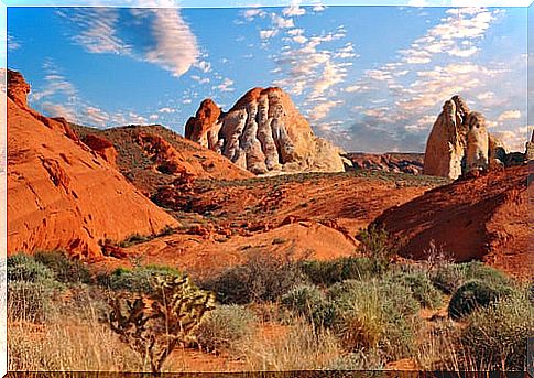 Valley of fire