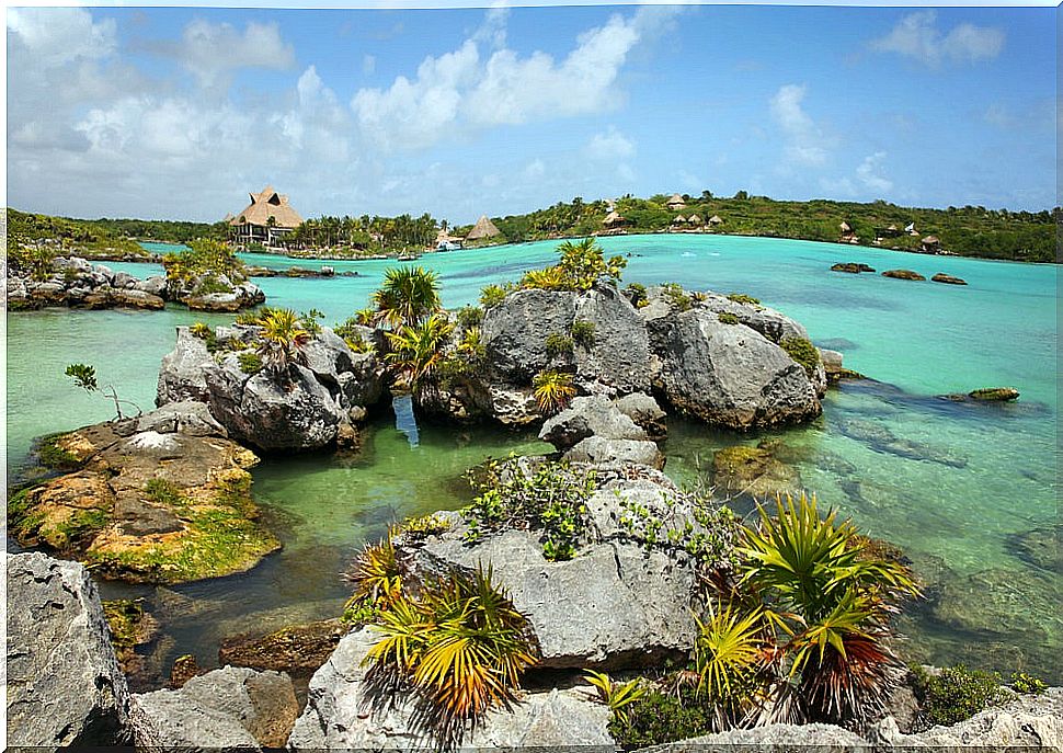 Enjoy the Xel-Há natural park in Mexico