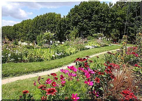 Jardin des Plantes in Paris