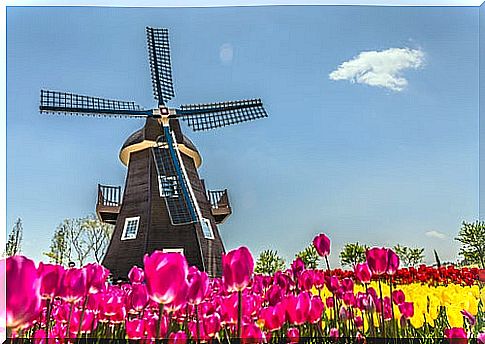 The most impressive Dutch windmills