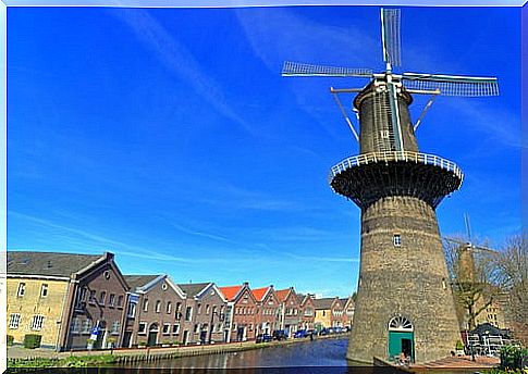 Mill in Schiedam