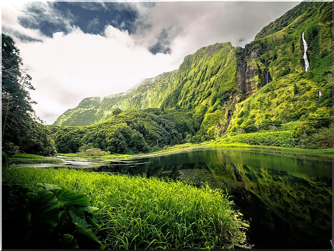 Flores, a beautiful landscape in the Azores Islands.