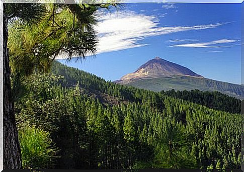 The north of Tenerife, discover what to see and do in it