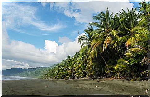 The Osa peninsula, Costa Rica's natural treasure