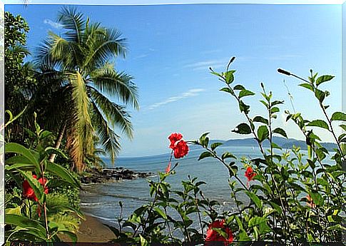 Drake Bay on the Osa Peninsula