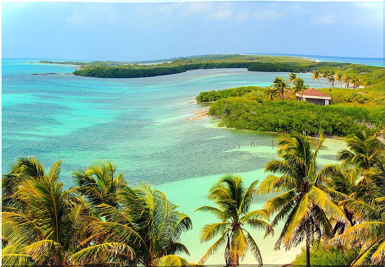 Isla Contoy is a protected natural area in the Riviera Maya.