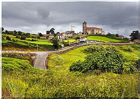 Garlic in Cantabria