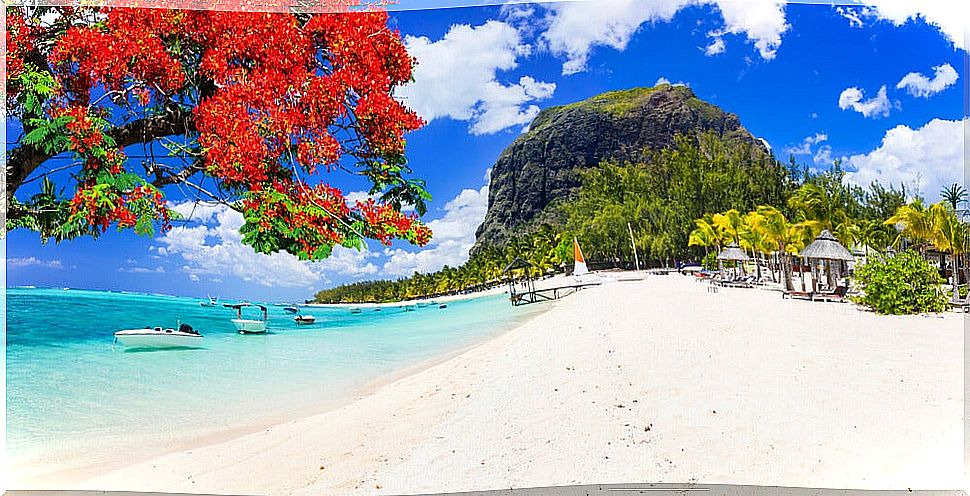 Beach in mauritius