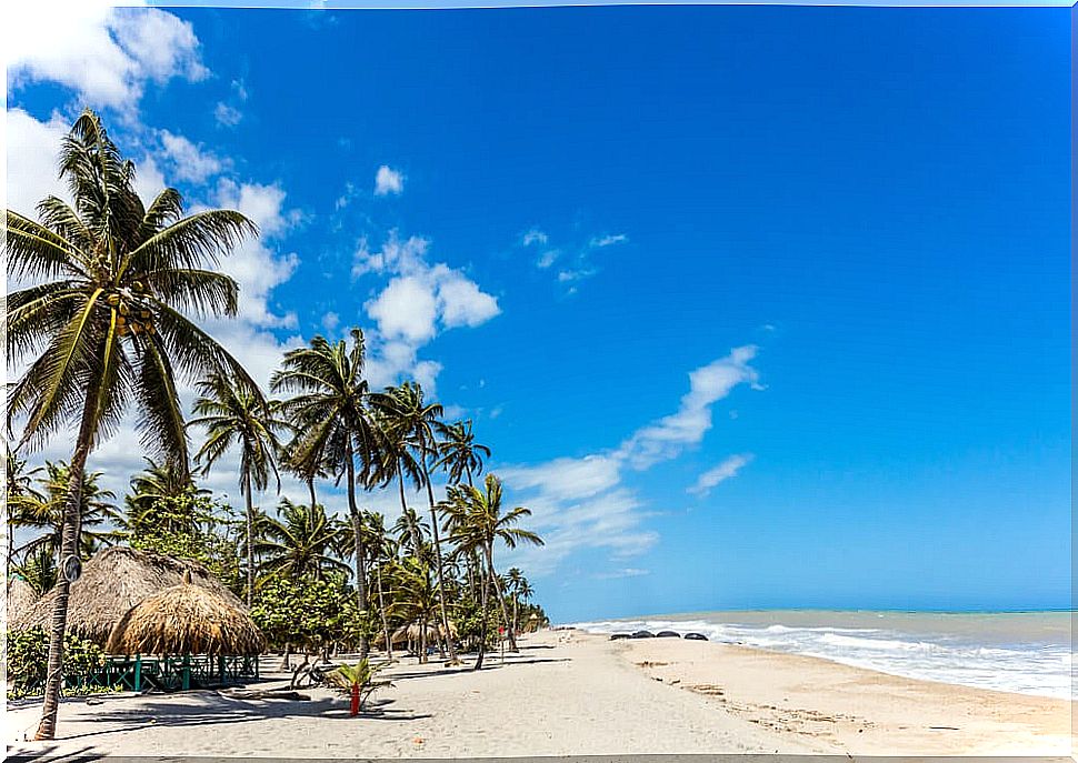 Beach in Palomino