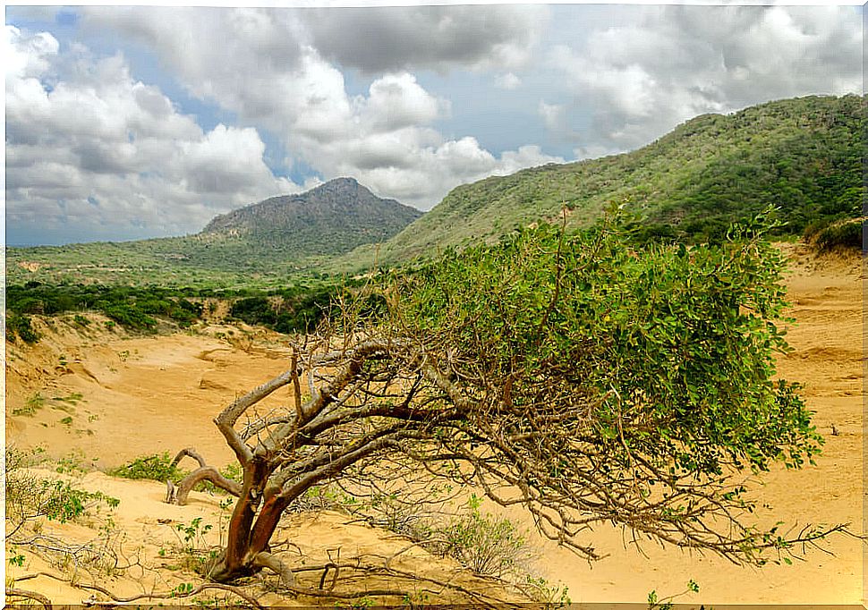 Macuira National Park in La Guajira