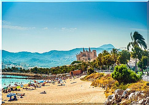 Beaches of Palma de Mallorca