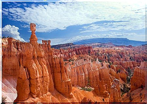 Grand Canyon Landscape