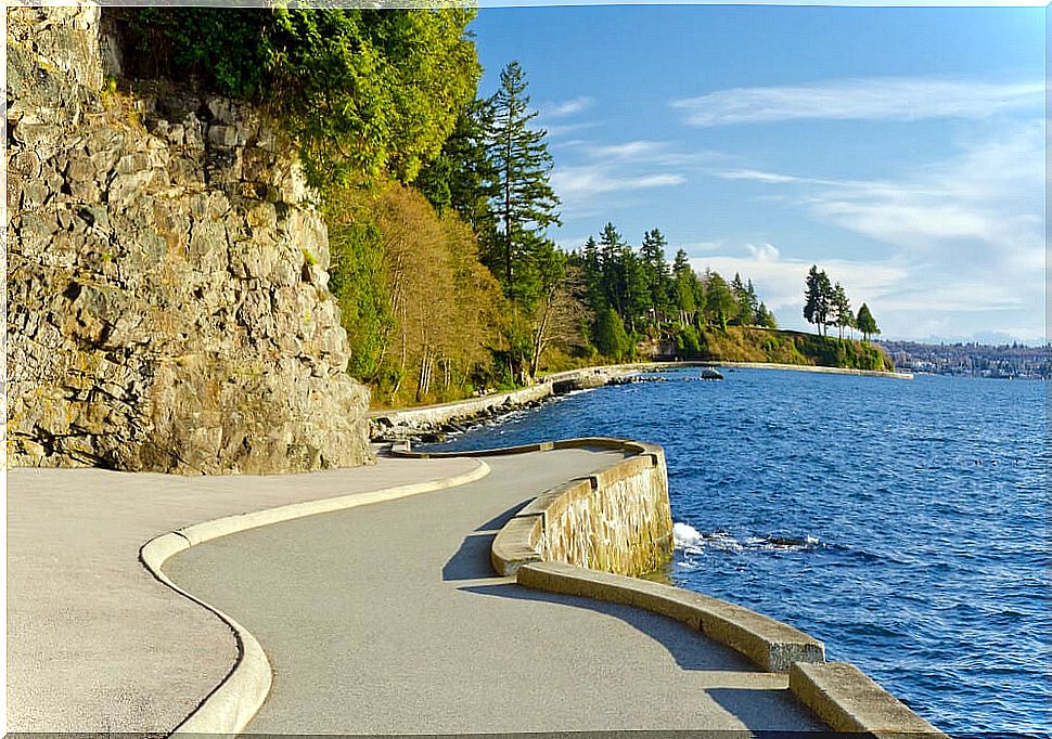 Stanley Park in Vancouver